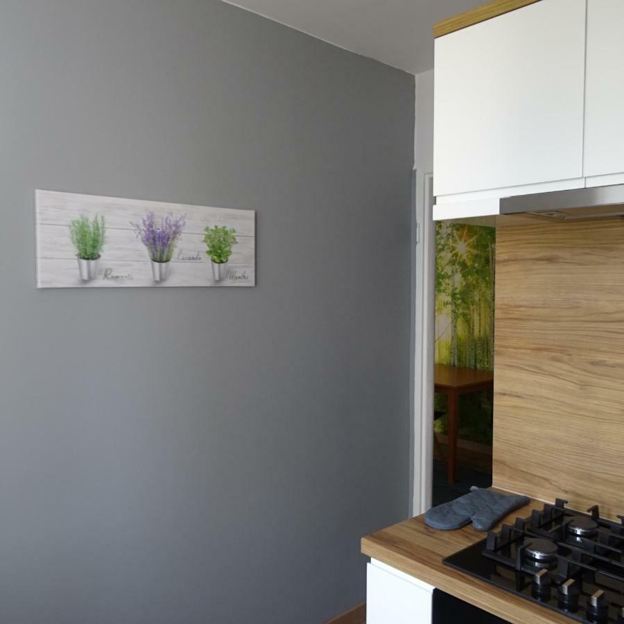 Mieszkanie 4-Pokojowe W Toruniu Przy Umk Exterior foto